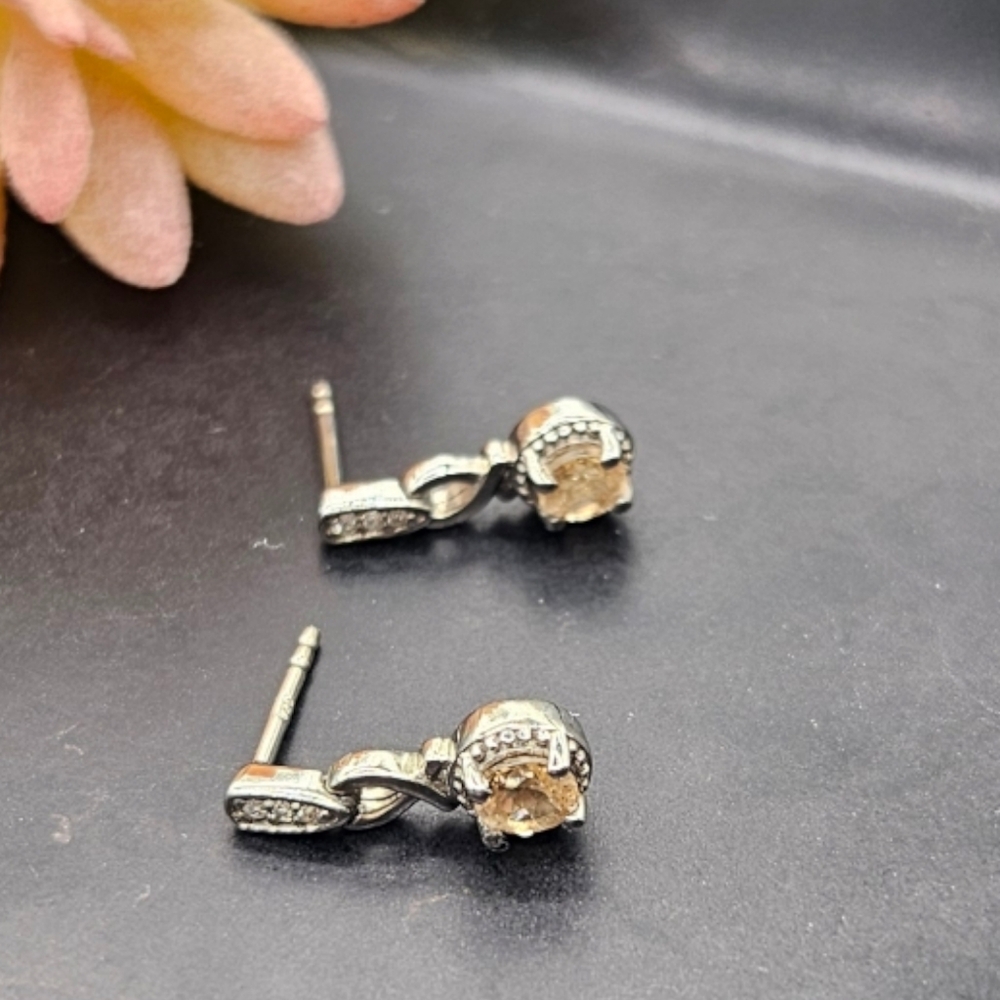 Garnet and Zircon Earrings